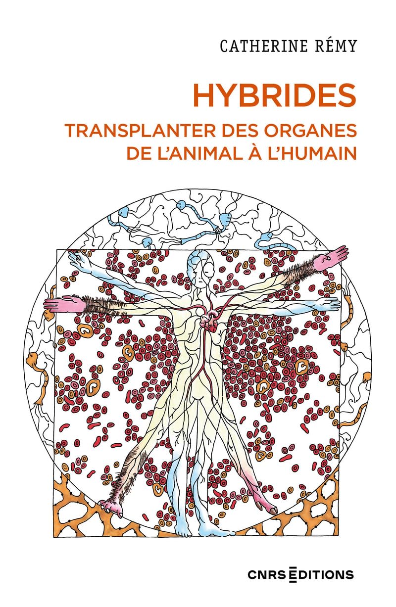 Hybrides : transplanter des organes de l'animal à l'humain / Catherine Rémy (另開視窗)
